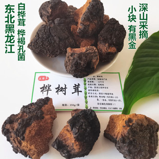 東北樺樹茸白樺樹茸茶樺褐孔菌樹黃250g樺樹淚有黑晶黑金顆粒野生