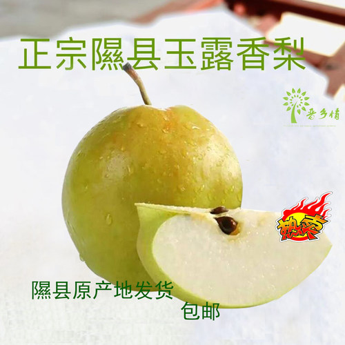 隰县玉露香梨隰县玉露香梨试吃