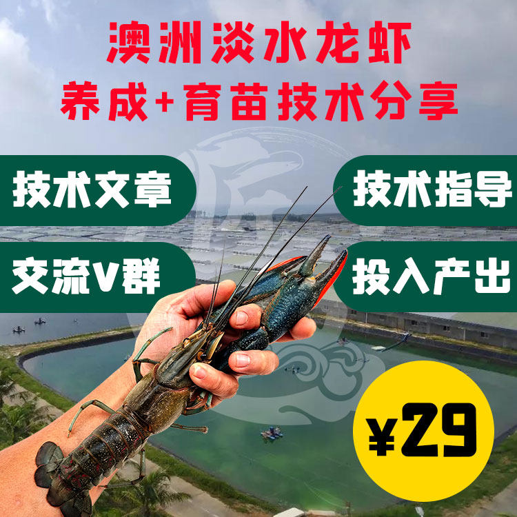 央视科教频道创新进行时匠石啊团澳洲淡水小龙虾养殖育苗技术v群