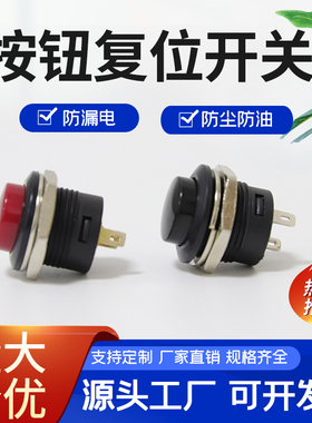 R13 507台湾SCI新进按键开关 圆形小按钮2脚自复位红色