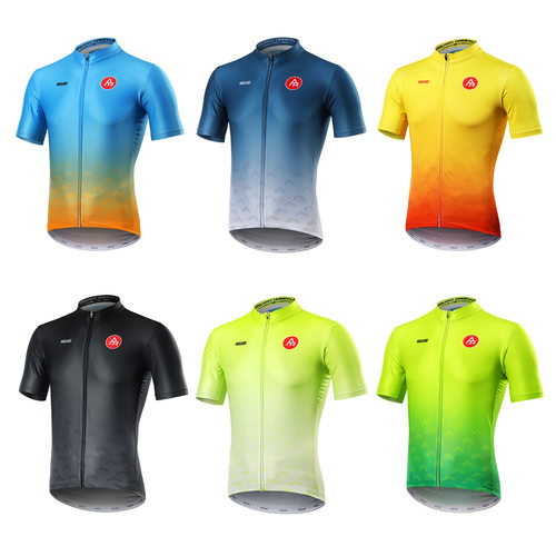 艾速欧自行车骑行服专业男上衣轻薄透气紧身速干排汗渐变印花短袖