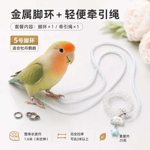 鸟用脚环鹦鹉放飞绳玄凤虎皮牡丹牵引绳飞行外出太阳遛鸟神器用品