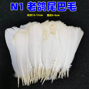 白鸽毛老鸽毛彩色羽毛粉色鸽毛双彩鸽毛灰鸽毛鸽子尾巴毛南派花毽