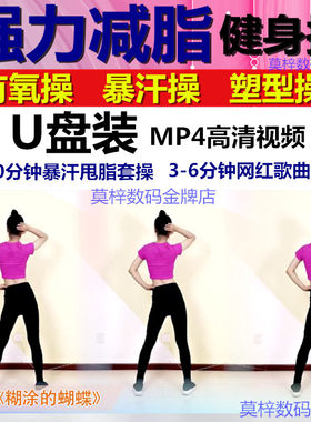 暴汗燃脂操网红动感健身操零基础年轻人瘦身美广场舞MP4视频优U盘