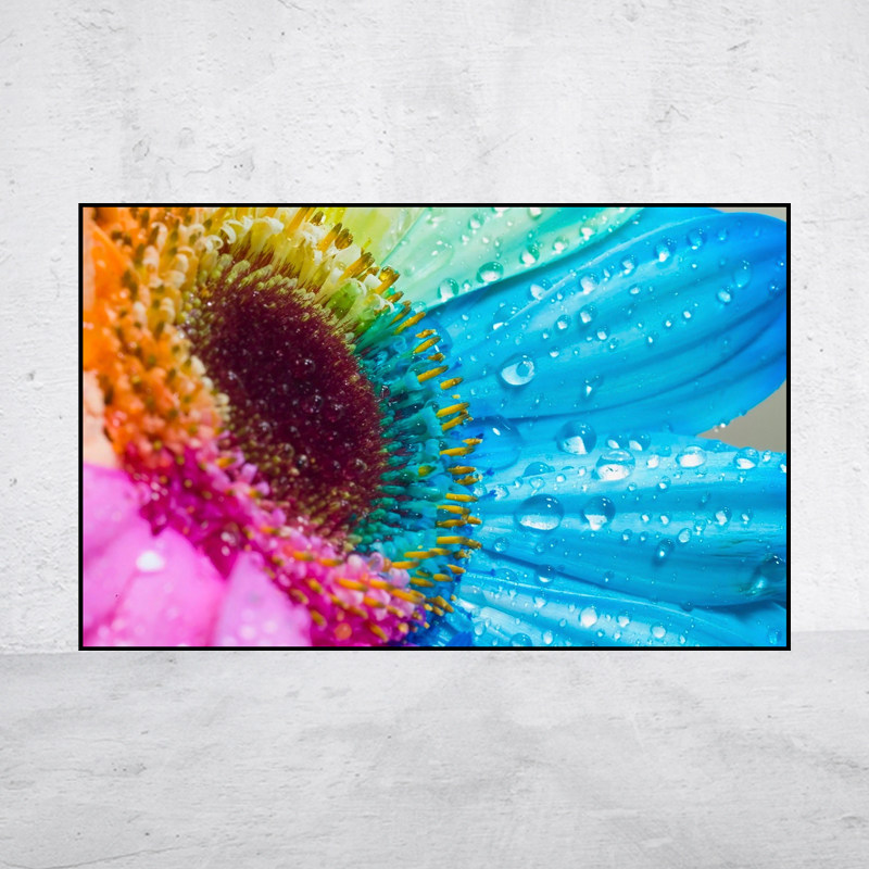 【新品】5D钻石画七色彩虹花方圆钻满贴十字绣满绣印花包邮