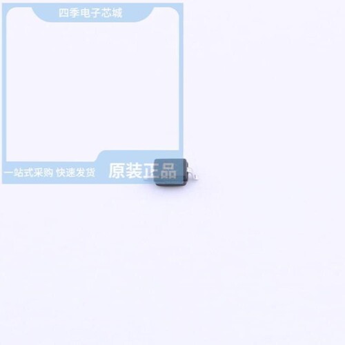 GSOT05C-MS/HT1621(SSOP24)/GBLC36CI-MS
