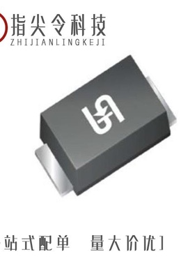 ES1GL RVG/ES1GL R3G/ES1GLW RVG