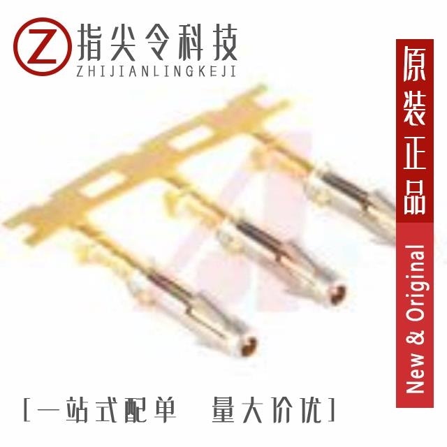 SS24W1F SS24W2T SS24W2F