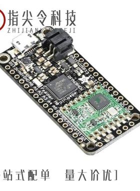 3186FG593M040KMA4/31762-1/3186BE153T045APA3