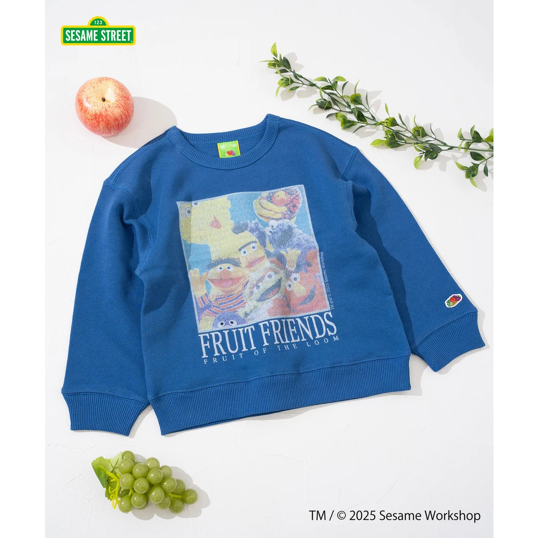 日本潮牌水果联名芝麻街合影印花圆领薄毛圈卫衣男女童外贸童装