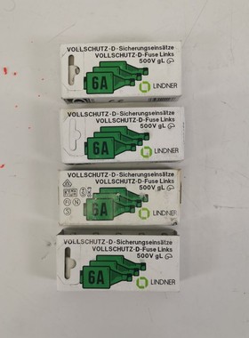 LINDER 597.0067 6A/500V Schmelzsicherung D-Fuse 16 245 06 20