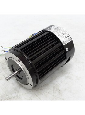 BODINE 电动 42R5BFSI 发动机