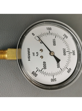 Posten 3x Marsh kPa psi |