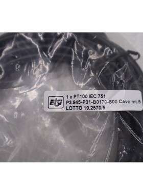 全新 ITALMEC PT100.3F-IEC751 热传感器 PT100/3F PT1003F 3 线