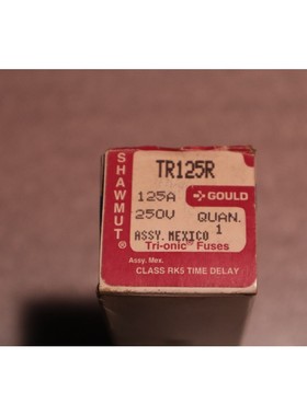全新 GOULD SHAWMUT TR125R AMP 600V RK5 延迟保险丝库存 5801