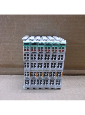 Sistema I/O Wago PLC Slice 750-454 2 Canali Ingressi Analogi