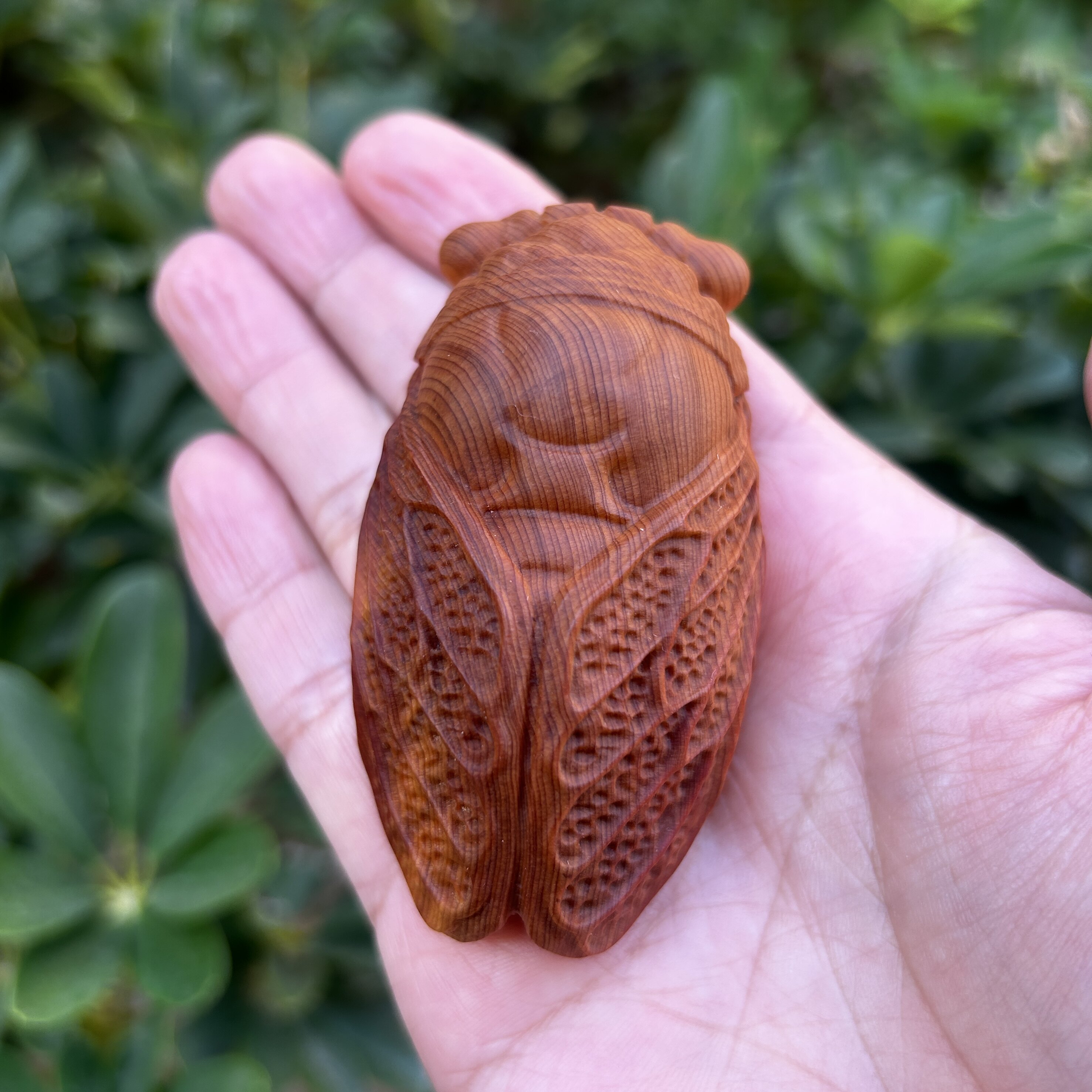 天然高油老料崖柏木雕刻金蝉一鸣惊人文玩手把件随身盘玩知了摆件