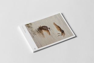 kp662商务请柬邀请函留言售后书写祝福感恩手写迷你小贺卡明信片