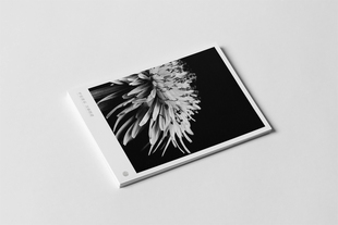 饰卡片明信片 花摄影贺卡邀请函小装 kp378元 宵节简约文艺北欧日式