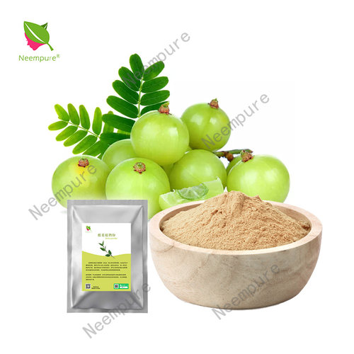 欧绿娜醋栗粉Amla powder印度草药养发粉醋栗果子天然护发粉