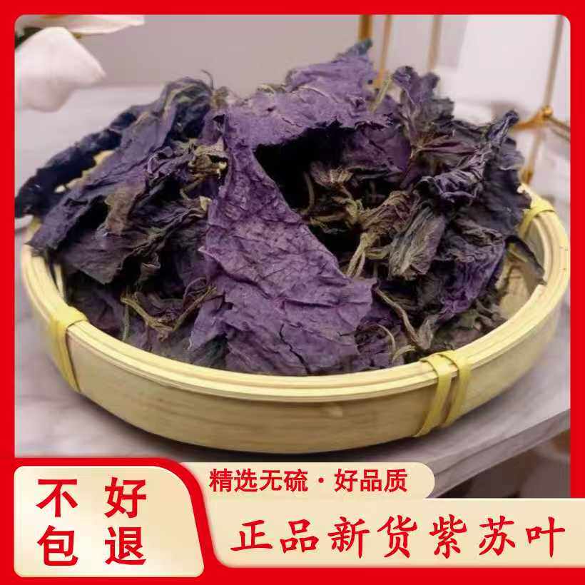 广西无硫紫苏叶新鲜干货新品泡茶烧鱼虾大杂蟹去腥香料食用精选
