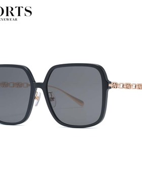 24款PORTS宝姿太阳眼镜个性时尚大框女款方框显瘦脸墨镜 PSF24305