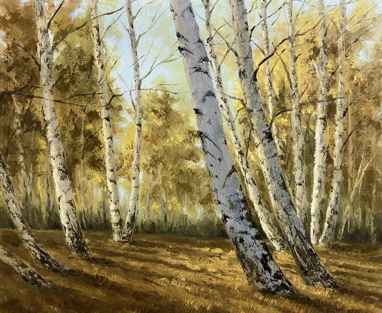 风景油画纯手绘原创写生秋季秋天白桦林树林阳光印象家居装饰