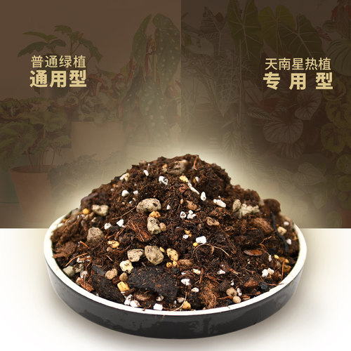 天南星科热植专用土 绿植通用泥炭土 多款可选 含基肥 缓释肥 - 封面