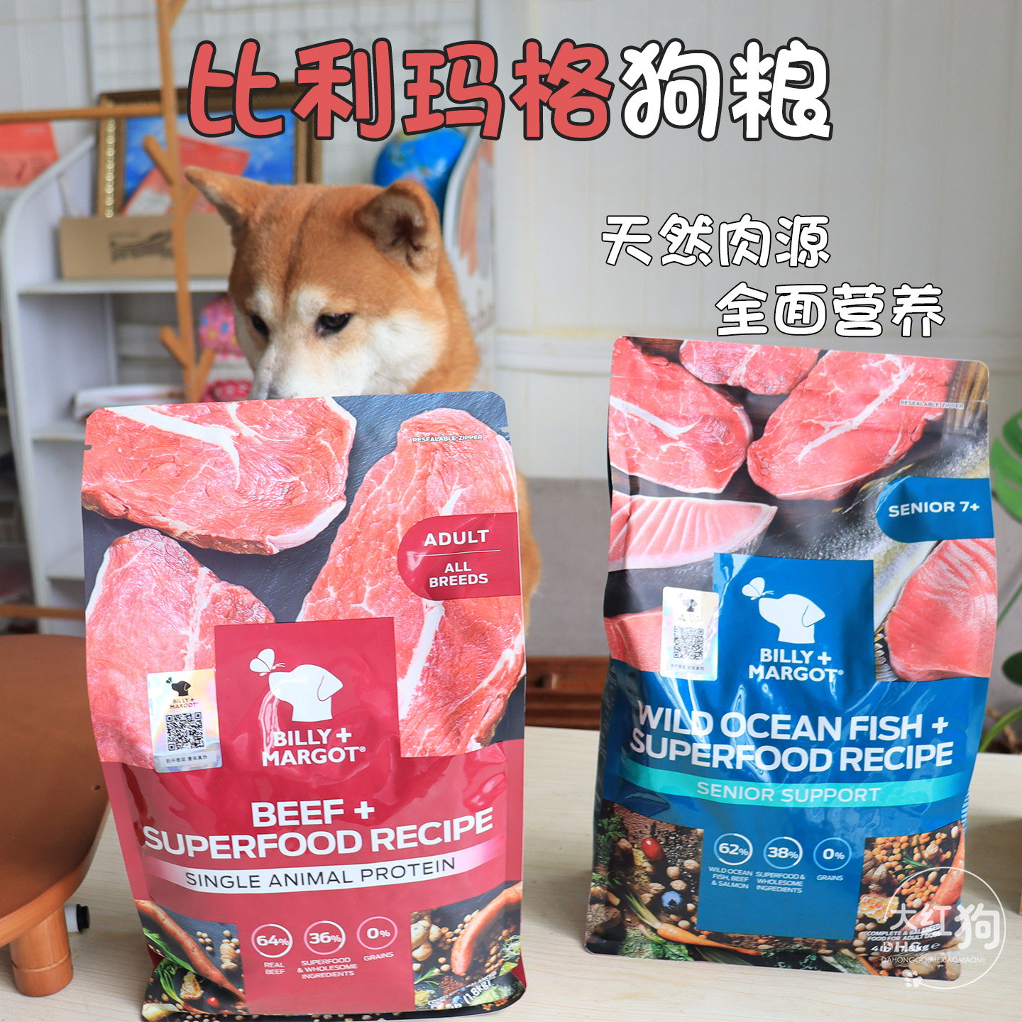 澳洲比利玛格BillyMargot狗粮