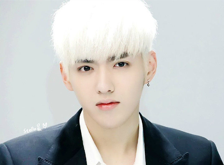 Perruque MIEAR cheveux raides Court - Ref 2607775 Image 5