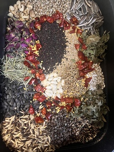 鹦鹉鸟粮自用粮鸟食自配鹦鹉粮小太阳粮花草种子粮