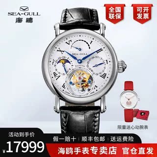 海鸥表男士高级手动机械表多功能偏心轴陀飞轮男款手表818.907