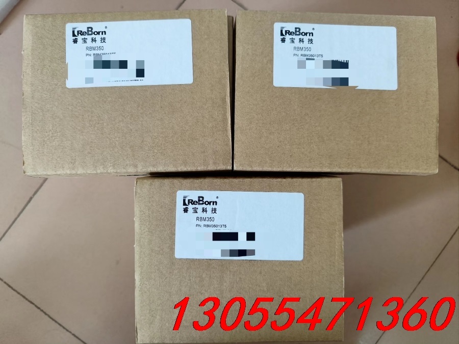 议价睿宝科技真空计RBM350 (1000Torr)，ZDM v