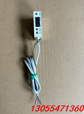 议价CKD流量计FSM-N-101-8A