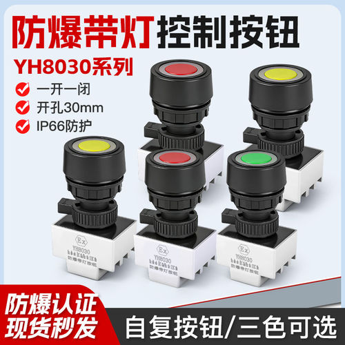 YH8030防爆防腐带指示灯控制按钮30mm有3C证书自复位带灯按钮开关