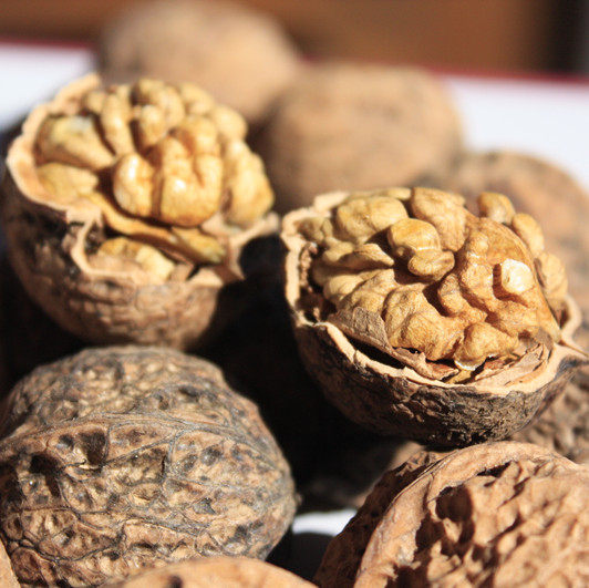 丽江原味野生老树生核桃500g 非纸皮核桃云南土特产