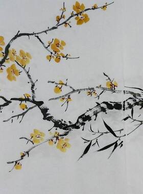 手绘字画书画客厅装饰画热销I07249X三尺斗方无款国画花鸟画梅花