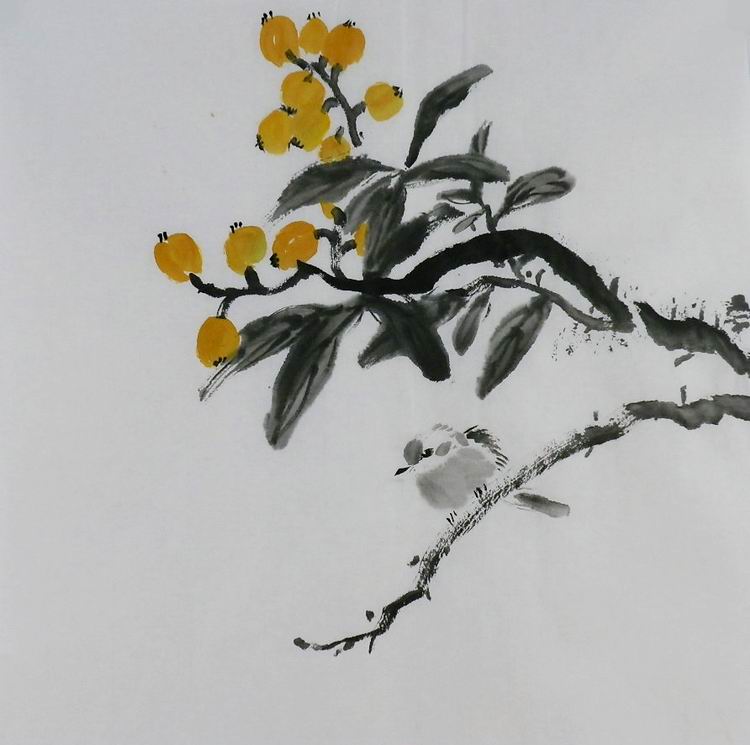 手绘字画书画客厅装饰画热销I072410三尺斗方无款国画花鸟画枇杷