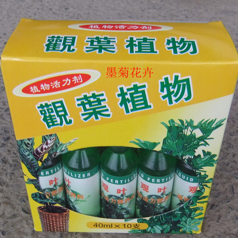 观叶植物活力剂 营养液 植物通用 单支40毫升