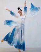 龙飞凤舞 剧目民族舞蹈独舞演出服手工定制租赁 归去来兮
