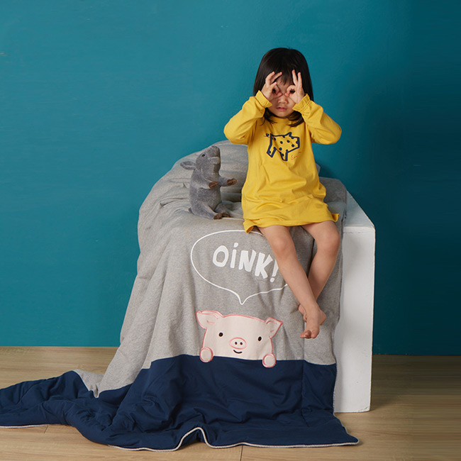 台湾防螨儿童四季被凉被