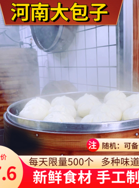 老家大包子6种口味 河南手工猪肉包粉条馅韭菜鸡蛋豆腐槐花馅包子