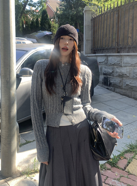 Halo Luu 灰色麻花毛衣开衫女秋季高级感内搭打底针织衫修身上衣