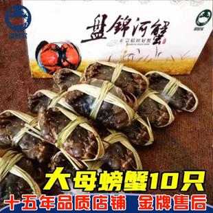 2.9两菜蛙 稻田螃蟹母螃蟹3.3 盘锦河蟹大闸蟹现货礼盒10只 包邮