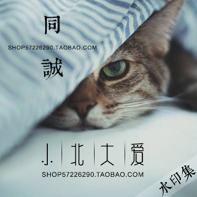 复古文艺小清新防盗水印设计制作 水印logo设计定制 标志设计32