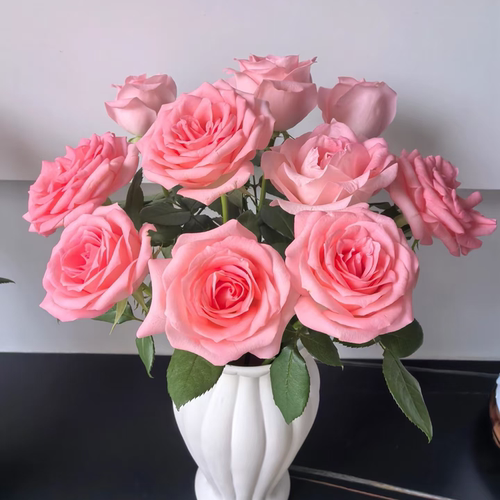 戴安娜玫瑰-高等级玫瑰/全场1单包邮送货上门/满2单升级顺丰包邮