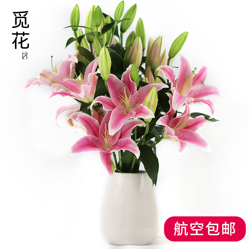 香水百合鲜花(粉/白/黄/红)多头百合云南昆明种植户直接包邮发货