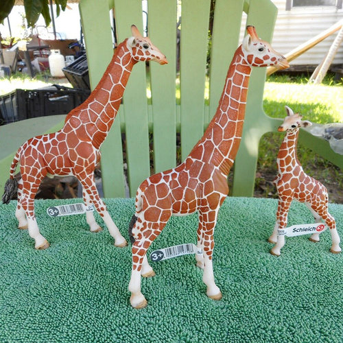 Schleich/思乐PVC动物模型长颈鹿