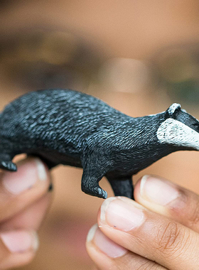 德国Schleich思乐獾14842仿真丛林动物塑胶模型儿童认知玩具摆件