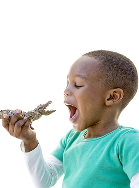 鳄鱼14736德国Schleich思乐仿真野生动物PVC塑胶模型儿童玩具摆件